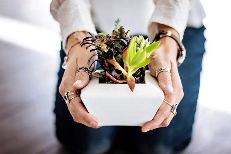 Upcycle plant pots